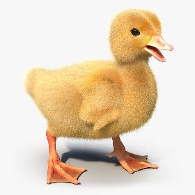 Duckling Rigged